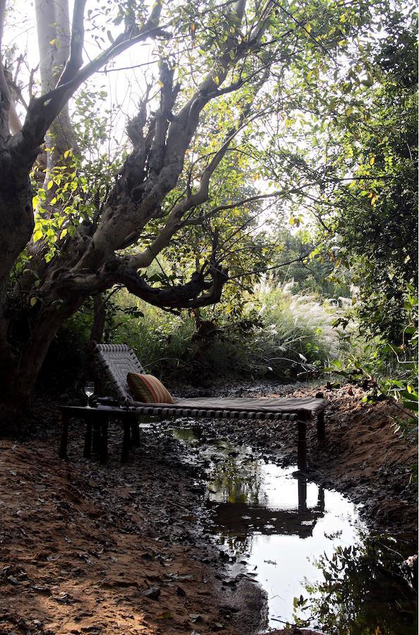 Samode Safari Lodge Parāsi Eksteriør bilde