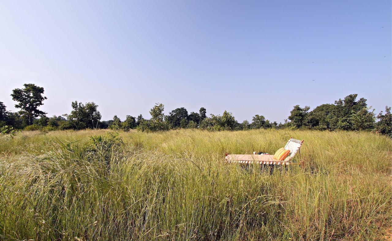 Samode Safari Lodge Parāsi Eksteriør bilde