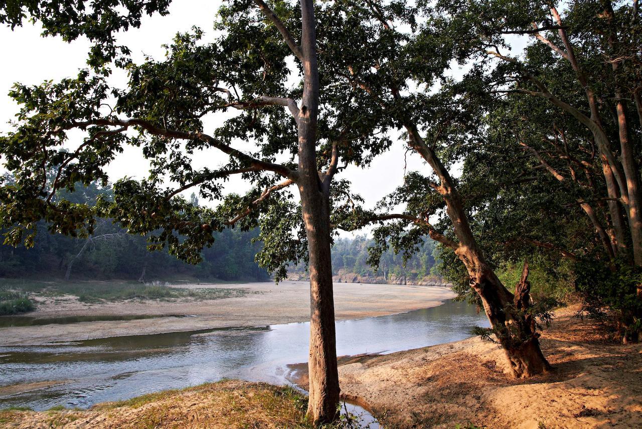 Samode Safari Lodge Parāsi Eksteriør bilde