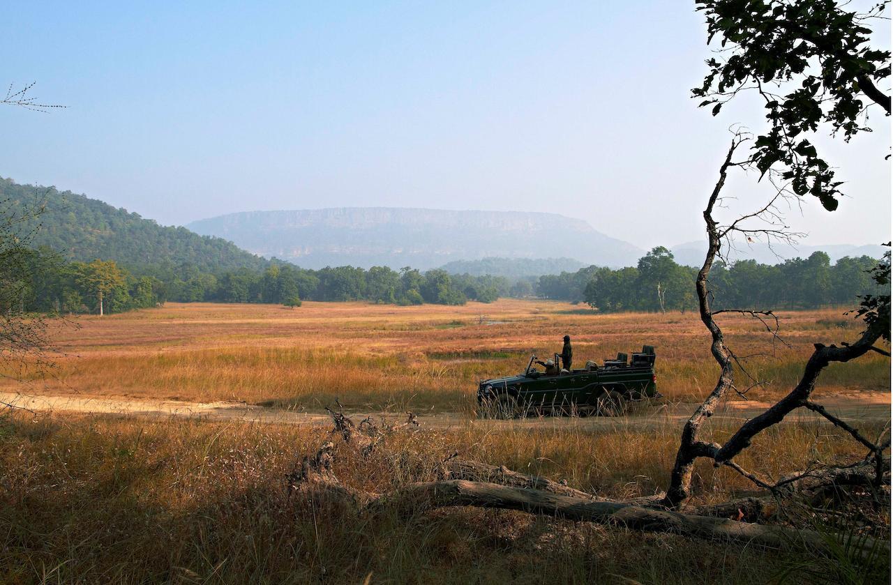 Samode Safari Lodge Parāsi Eksteriør bilde